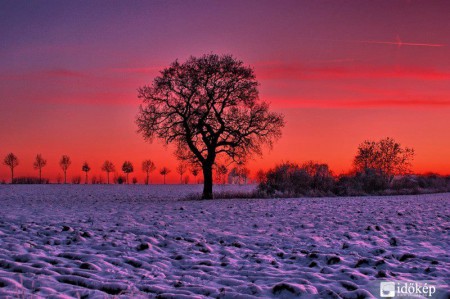Szőrnyű szél, ha meg nem áll...